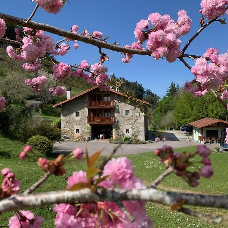 Maison d'hôtes Agroturismo Urresti à Gautegiz Arteaga Extérieur photo